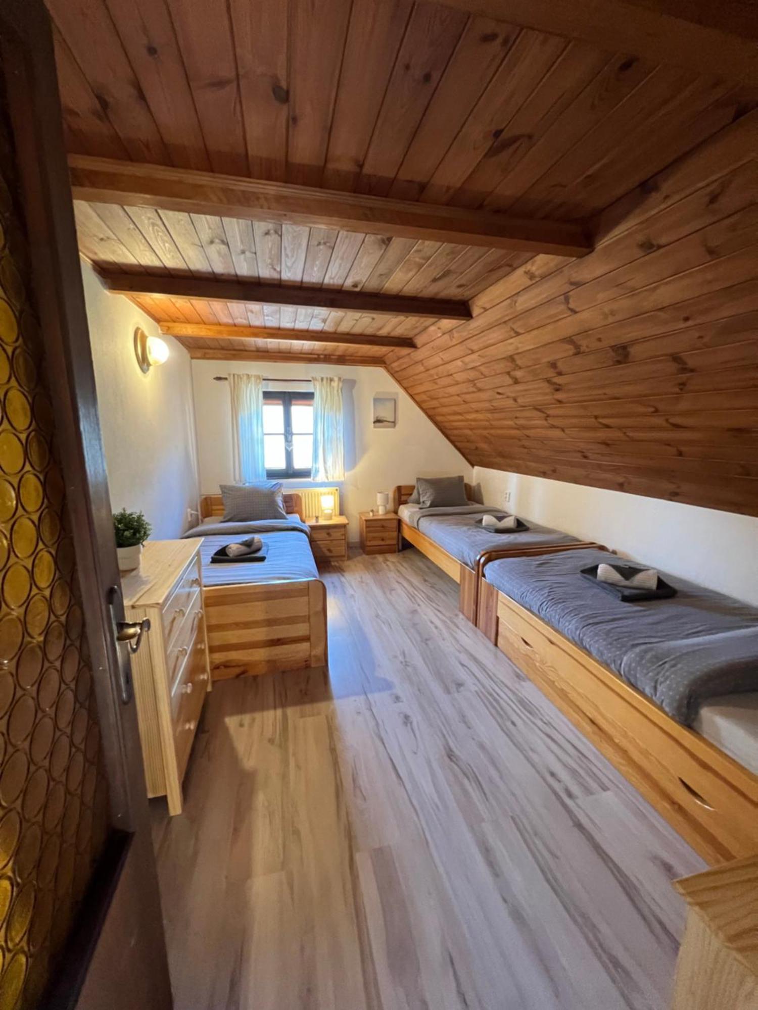 Holiday House Lipno-Slupecna Lipno nad Vltavou Extérieur photo